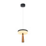 ACA LIGHTING CNP11WBKCCT ASIAN BLACK PENDANT LAMP 11W CCT 2700K - 3000K - 4000K