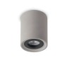 ACA LIGHTING MK141S10G MONTE