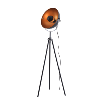 ACA LIGHTING ML306681FBG CAMARA