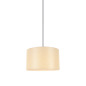 ACA LIGHTING MP21858 CLIFF