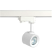 ACA LIGHTING F10GU104KW Big White PARSCO