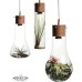 ACA LIGHTING V110TR POTHOS