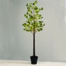 LED декорация ACA LIGHTING X102401449 EUCALYPTUS LEAF TREE 2,7W 3000K 180cm IP44