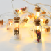 ACA LIGHTING XI10WW2A 0,2W 3000K 1350mm 2 x AA GLASS BOTTLE RED BERRY DECORATIVE STRING LIGHT