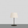Настолна лампа ACB LIGHT S8202080N STILO