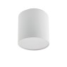 ARELUX RX02WW MWH XROLL