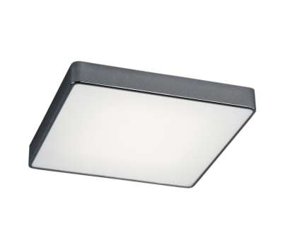 Плафон ARGON 1578 ONTARIO