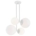 ARGON 1644 ASPEN