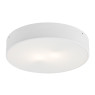 ARGON 3568 DARLING LED