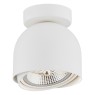 ARGON 4710 GARLAND