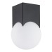 Плафон ARGON 4713 AUSTIN
