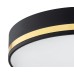 ARGON 6141 AMORE