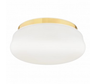 Плафон ARGON 6142 OMBRA