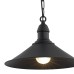 Пендел ARGON 631 ERBA