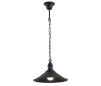 Пендел ARGON 631 ERBA