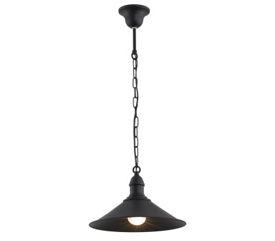 Пендел ARGON 631 ERBA