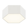 LED плафон ARGON 8781 LIBERO