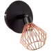 BRILLIANT 21010/76 DALMA
