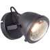 Спот BRILLIANT 55410/86 CARMEN