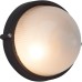 BRILLIANT 96106/06 SILVESTER