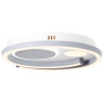 LED плафон BRILLIANT G99390/75 THEKLA