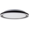 LED плафон BRILLIANT G99519/06 PEDERSON