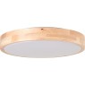 LED плафон за баня BRILLIANT G99636/45 MOREEN