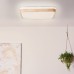 LED плафон BRILLIANT G99791/75 TUMEO