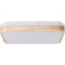 LED плафон BRILLIANT G99791/75 TUMEO