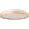 LED плафон BRILLIANT G99794/75 ALSON