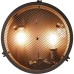 BRILLIANT HK19237S76 ZOIS