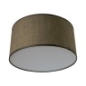 CITY LUX 248845 LION + SAMI BROWN