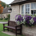 ELSTEAD KL-MOUNT-VERNON2-M-BK MOUNT VERNON ELSTEAD KL-MOUNT-VERNON2-M-BK MOUNT VERNON