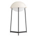 ELSTEAD QUINTIESSE QNA-GLAZE-TL-BIC GLAZE