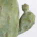 Настолна лампа ELSTEAD QUINTIESSE QNC-CACTUS-TL CACTUS