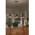 ELSTEAD QZ-EMERY3P-PN EMERY