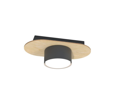 Плафон EMIBIG 1438/1 DIAZ 1 BL WOOD