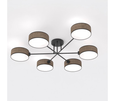 EMIBIG 1569/6 MAGA 6 BROWN