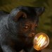 Настолна лампа Endon 107390 Kitten