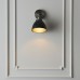 Спот Endon 98560 Franklin