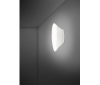FABBIAN F07 G17 01 LUMI MYCENA