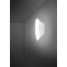 FABBIAN F07 G17 01 LUMI MYCENA