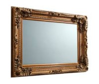 Gallery Direct 5055299450048 Carved Louis Mirror Gold 
