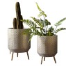 Gallery Direct 5059413675935 Amelia Metal Planter Set of 2pc.