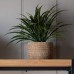 Кашпа Gallery Direct 5059413694233 Mirissa Planter Small Natural 