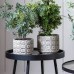 Gallery Direct 5059413694264 Paria Planter Large Grey