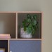 Gallery Direct 5059413694271 Anyas Planter Small