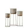 Кашпа Gallery Direct 5059413695452 Evie Planter Комплект от 3бр.