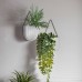 Gallery Direct 5059413696770 Lexy Wall Planter Set of 2