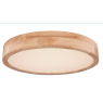 GLOBO 41745-24 RAINER